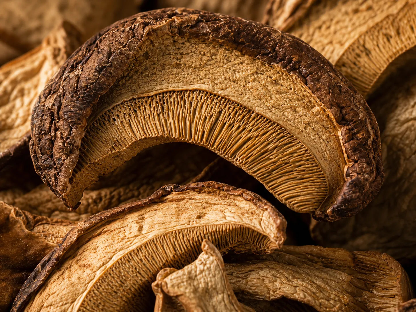 Getrocknete Steinpilze richtig vorbereiten – Detailansicht